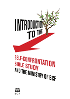 Introduction to Self-Confrontation